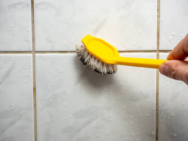Best Mold Testing and Inspection Services in Charlottesville, VA