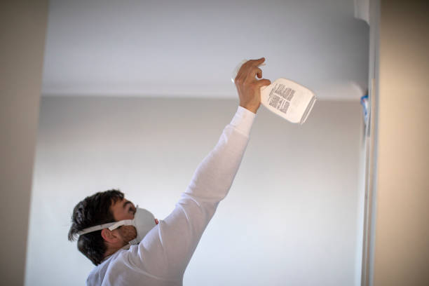Best Residential Mold Remediation in Charlottesville, VA