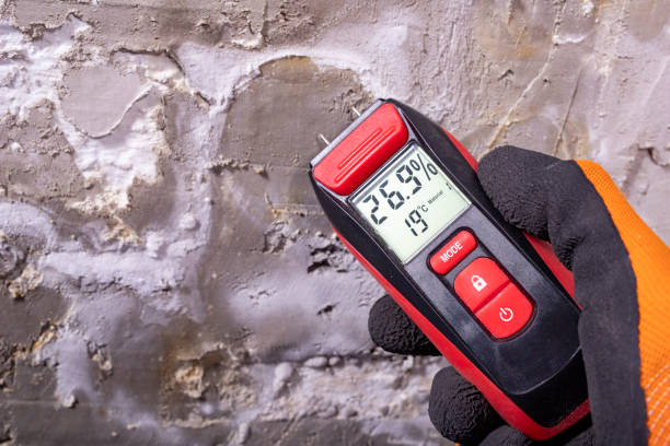 Best Industrial Mold Remediation in Charlottesville, VA