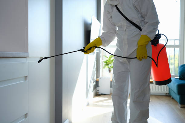 Professional Mold Remediation in Charlottesville, VA