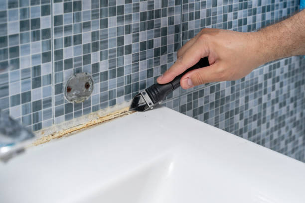 Professional Mold Remediation in Charlottesville, VA