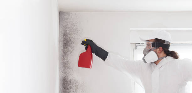  Charlottesville, VA Mold Removal Pros