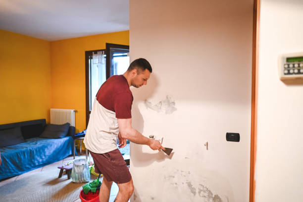 Best Attic Mold Remediation in Charlottesville, VA